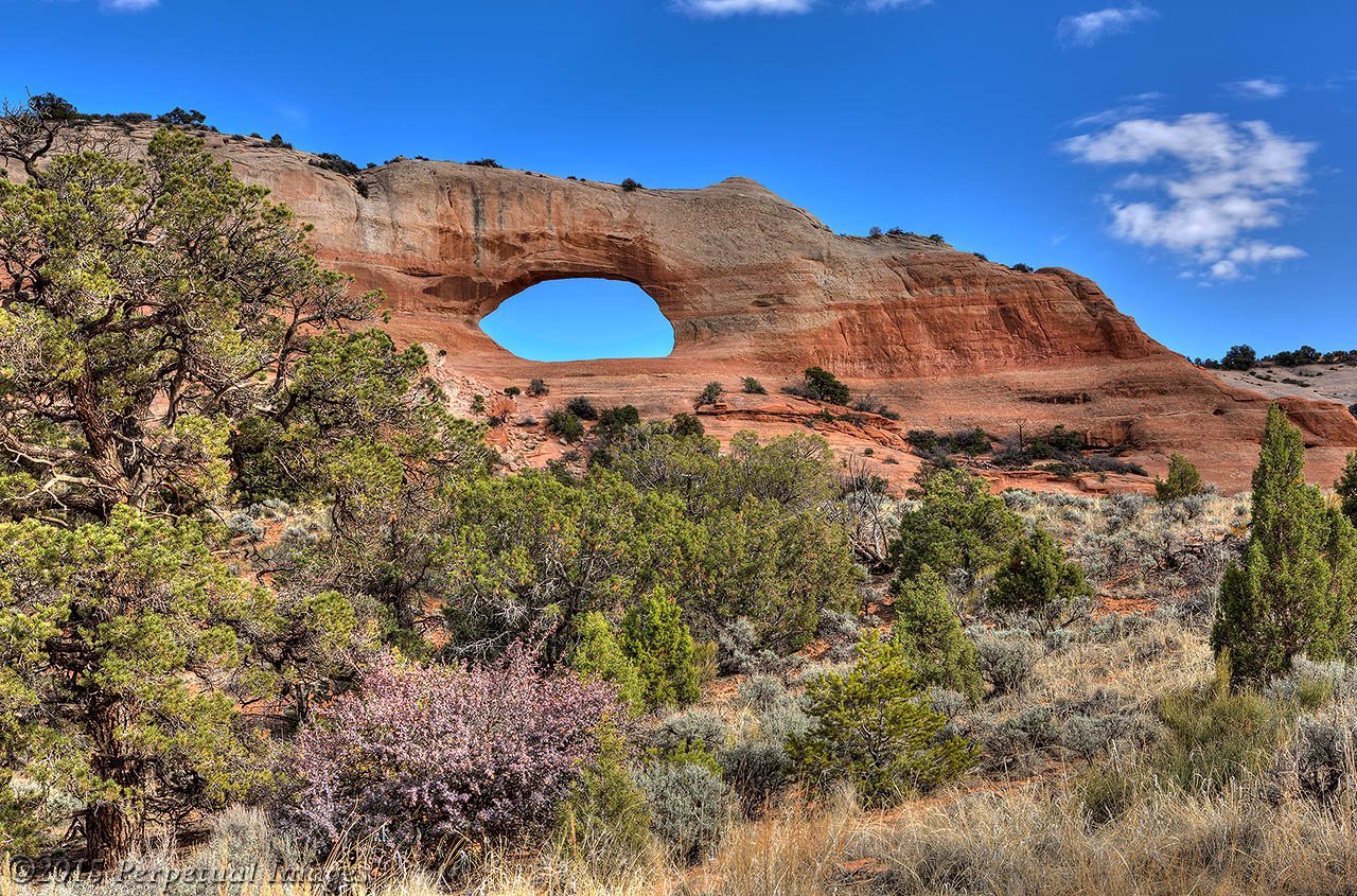 Wilson Arch